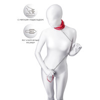 Красный ошейник с подкладкой из меха